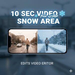 Edits Video Editor Snow Filter interface showing snowfall effect